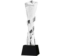 Classic Five-Pointed Star Award Trophy, Company Annual Meeting Medal, Trophies With Custom Engraving, Competition Prize, Party Gift, Achievement Trophy(Silver)