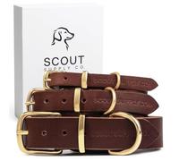 Scout Supply Classic Leather Dog Collar | Heavy Duty Thick Full Grain Leather | Waterproof & Rust-Proof Brass Hardware (Dark Brown, XX Large)