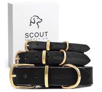 Classic Genuine Leather Dog Collar | Dog Collars for Medium Dogs, Small Dogs, Large Dogs & Extra Large Dog | Wide Dog Collar | Heavy Duty Dog Collar (Black, XX Large)
