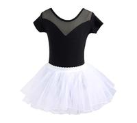 Classic Girls Ballet Dance Leotard Outfit with Tutu Skirt Set for Performance Recital Practice Ages 1-14 Years Dresses Black Dress Purple Princess Clothes 9-10 Red