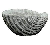 Classic Home and Garden 260025-C151 Sea Shell Succulent Planter, Harbor Gray