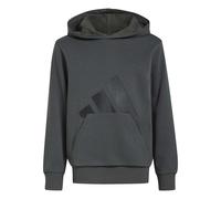Classic Hoodie Child adidas Essentials Gris 11/12 ans