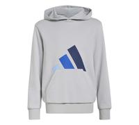 Classic Hoodie Child adidas Essentials Gris 9/10 years