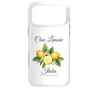 Classic Italian European Summer Vacation Bitter Sweet Lemon Case for iPhone 17 Pro Max