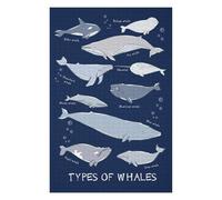 Classic Jigsaw Puzzle for Adults, Types of Whales Fishes, 1000 PCS
