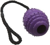 Classic Pet Products Rubber Oval Ball on a Rope, Large, 100 mm, Purple/Black