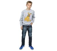 Classic Pluto Sweatshirt Disney Grey 9 Years