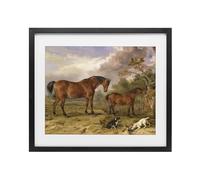 'Classic Portrait of Horses'| Framed Print Under Glass