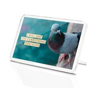 Classic Rectangle Magnet with Stand - Funny Pigeon Shit Bird Joke - Fridge Locker Office Whiteboard Toolbox #63125
