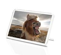 Classic Rectangle Magnet with Stand - Laughing Icelandic Pony Horse Funny - Fridge Locker Office Whiteboard Toolbox #53030