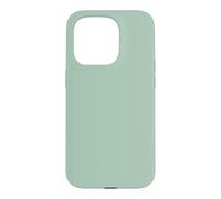 Classic Sage Green Minimalist Color Artwork Case for iPhone 15 Pro
