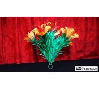Classic Sleeve Bouquet Pair (6) Deluxe by Mr. Magic, Magic Trick, Beginner, Intermediate, Stage