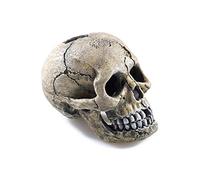Classic Spooky Skull Fish Tank Ornament, 4-Inch