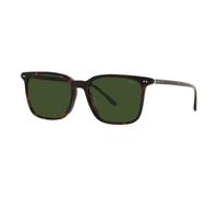 Classic Sunglasses- male- Polo Ralph Lauren- Sunglasses- Brown- 56 MM- Accessories 56 MM