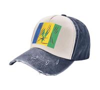 Classic Washed Denim Hat St. Vincent and The Grenadines Flag Print, Color Block Baseball Cap Retro Style, Breathable Cotton with Sweatband All-Season Casual Headwear 5 One Size