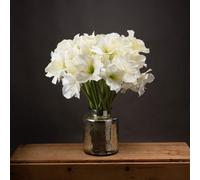 The Recipe Classic White Amaryllis Flower, one size