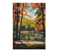 Classic Wooden Jigsaw Puzzle for Adults, Sam Houston Forest National Park, 300 PCS