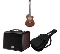 CLASSICAL ELECTRO ACOUSTIC, Thinline Body, Open Pore Natural