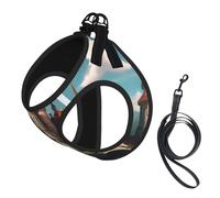 Classical Fairy Tale Castle03 Print Dog Harness Adjustable Walk Puppy Harnesses Leash Clips Pet Harnesses Training Pet Vest