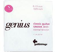 Classical Guitar D String