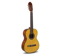 Classical Guitar Student Solid Top