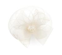 Classical Retro Bride Hair Hoop Headdress Delicate Netting Perfect for Vintage Theme Parties Wedding Party Hairband