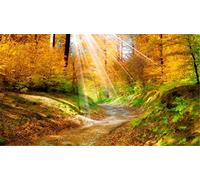 ClassicJP 1000 Piece Jigsaw Autumn Light Over The Forest For Adult Friend