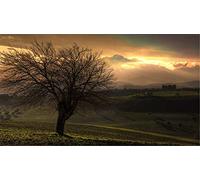 ClassicJP Diy Jigsaw 1000 Piece Autumn Sunset Für Erwachsene Kinderfreund Puzzle