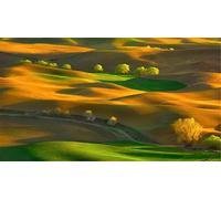 ClassicJP Jigsaws 1000 Piece Puzzle Jigsaw Puzzles Steptoe Butte State Park Washington For Adult