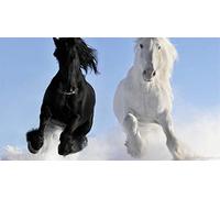 ClassicJP Jigsaws 1000 Pieces Black And White Running Horse For Adult Gift
