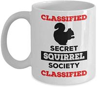 Classified Secret Squirrel Society Classified Great Birthday or Christmas Valentines Couples Coffee Mugs Funny Friend Cute Lovers Gifts 11oz Tea Cup for Women and Men