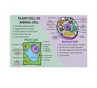 Classroom Biology Decor Animal Plant Cell Poster Science Educational Art Canvas Print Office Wall Art Bedroom Decor Homeschool Learning Wall Chart(Framed,12x18inch(30x45cm))
