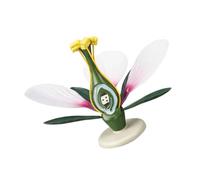 Classroom Flower Anatomy Display Model with Detachable Peach Blossom Sections, Enlarged Internal Structure, Stable Base for Botany Teaching, Study Table Use Flower Anatomy Model Peach Blossom Botany
