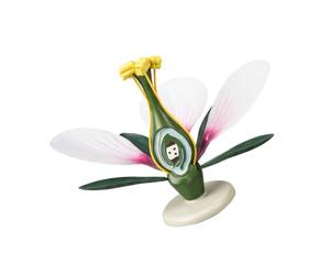 Classroom Flower Anatomy Display Model with Detachable Peach Blossom Sections, Enlarged Internal Structure, Stable Base for Botany Teaching, Study Table Use Flower Anatomy Model Peach Blossom Botany