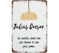 Classroom Posters Literary Prints High School English Teacher Classroom Decoration Classic Literature Funny Vintage Metal Tin Sign for Home Coffee 8x12 Inch