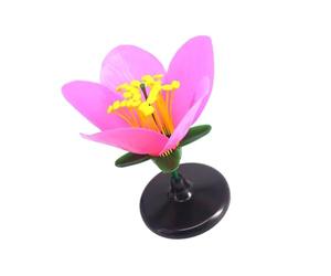 Classroom Ready Modular Peach Flower Structure Kits for Interactive Plant Biology Lessons and Student Experiments Modular Dissection Flower Model