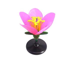 Classroom Ready Modular Peach Flower Structure Kits for Interactive Plant Biology Lessons and Student Experiments Biology Teaching for Students