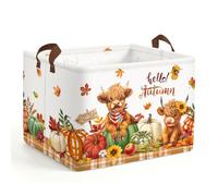 Clastyle 36L Kids Laundry Basket Autumn Clothes Toys Storage Box