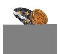 Claw Clip for Long Hair, Funny Barrette Hair Claws, Hair Alligator Clips Sunflower Star Snail, Hair Claw Clips Acetate Hair Accessories for Women Girls