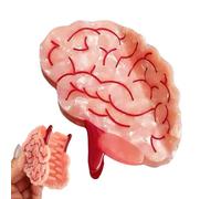 Claw Clips, Anatomical Women's Claw Clips, Eye-catching Accessory Non-Slip Hold for Styling Variety Autumn Beach Holiday Halloween