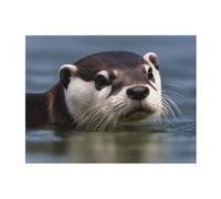 Clawed Otter Cozy Flannel Blanket – Soft and Warm, Luxurious Texture, Versatile Use – Extra Large Size