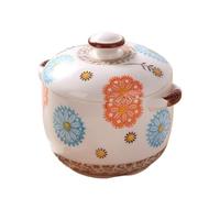 Clay pots for Cooking, CasseroleSoup PotCast Iron Casserole with Lid for Oven Pyrex Dishes with Lids Set(500ml)