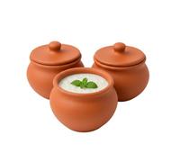Clay Root Handmade Terracotta Clay Curd Pot with Lid | Earthen Yogurt Setting Handi | Natural Mitti Dahi Bowl for Kitchen & Serving (500ml Capacity) (3)