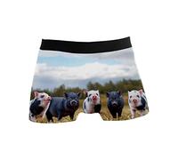 CLAYU Cute Pig Men's Boxers Briefs Man Support Underwear Stretch Low Rise Boxer Brief Trunks