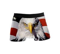 CLAYU Stretch Boxer Trunk Bulge Pouch Mens Briefs American Eagle Flag