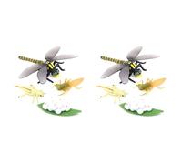 ClAZTyict 2X Life Cycle of A Dragonfly Insects Life Cycles Growth Model Children Animal Growth Cycle Science Educational Toys