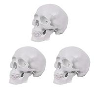 ClAZTyict 3X Mini Human Skull Model, 3 Parts Anatomical Skull Model with Removable Skull Cap and Articulated Mandible