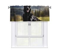 CLDBMD Short Curtains with Valance Rod 54x18in Black german shepherd dog Printed for Kitchen, Bathroom, bedroom, Studio, Fits Most Standard or Decorative Curtain Rods