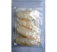 CLEAN PET SAFE MINI CUTTLEFISH PIECES IDEAL FOR REPTILES, TURTLE, TORTOISES, TERRAPINS, SNAILS, BIRDS AND SMALL ANIMALS APPROX 3-5" X 4