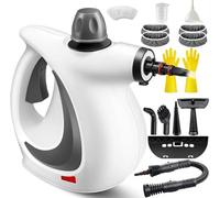 Cleaner Handheld Saker Steam